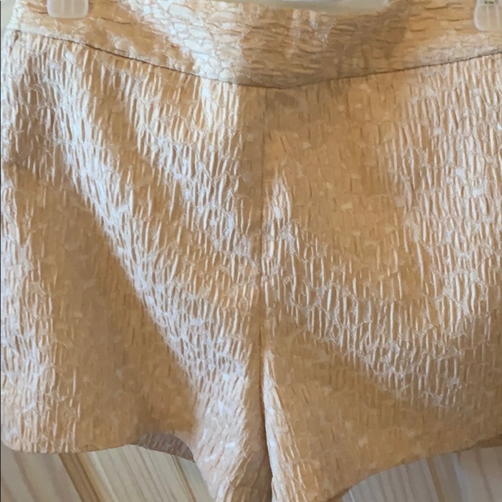 Express shorts